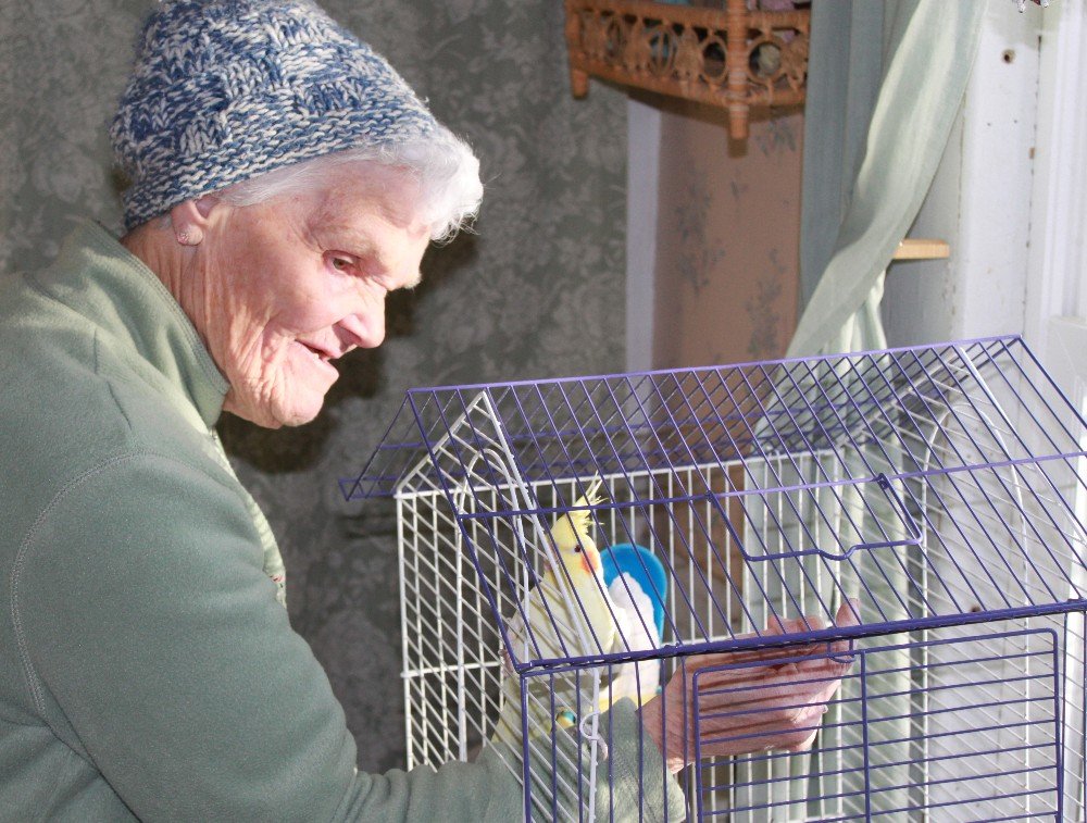 Sunlight shines on Doris Ann as she cares for her bird.