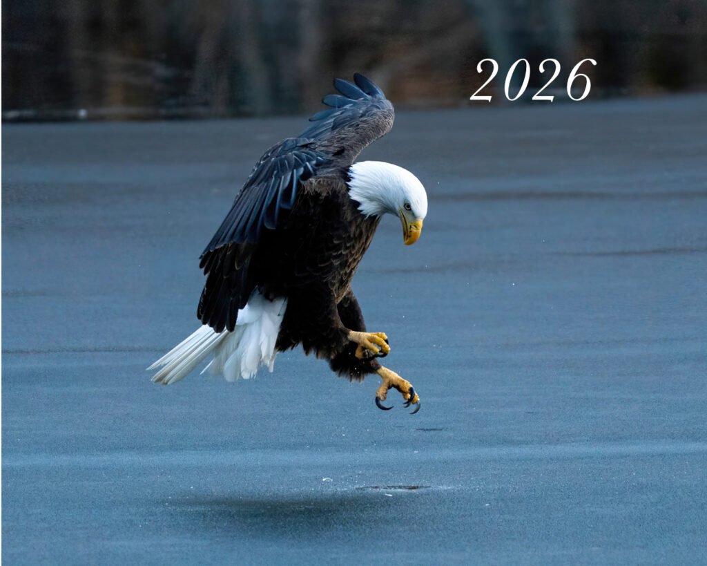 2026 Wildlife Calendar by Jeremy Osgood