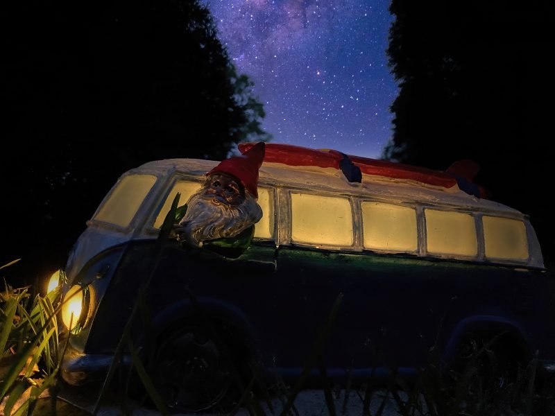 Gnomes Chashing fireflies